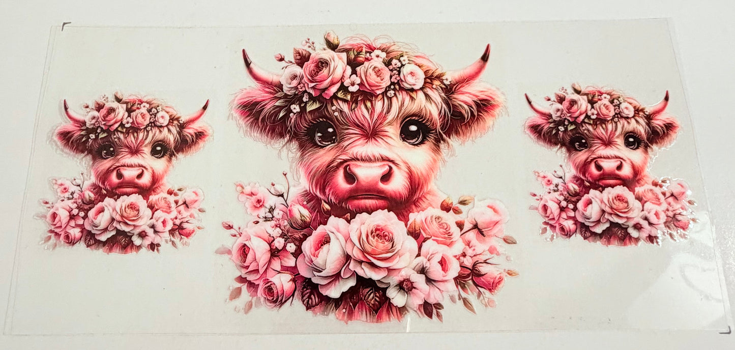 Cow 0636
