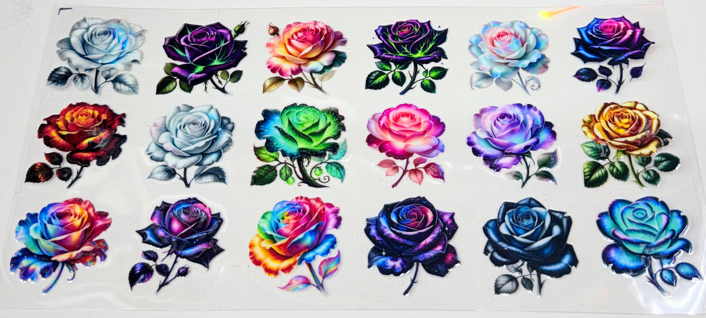 Roses 0787