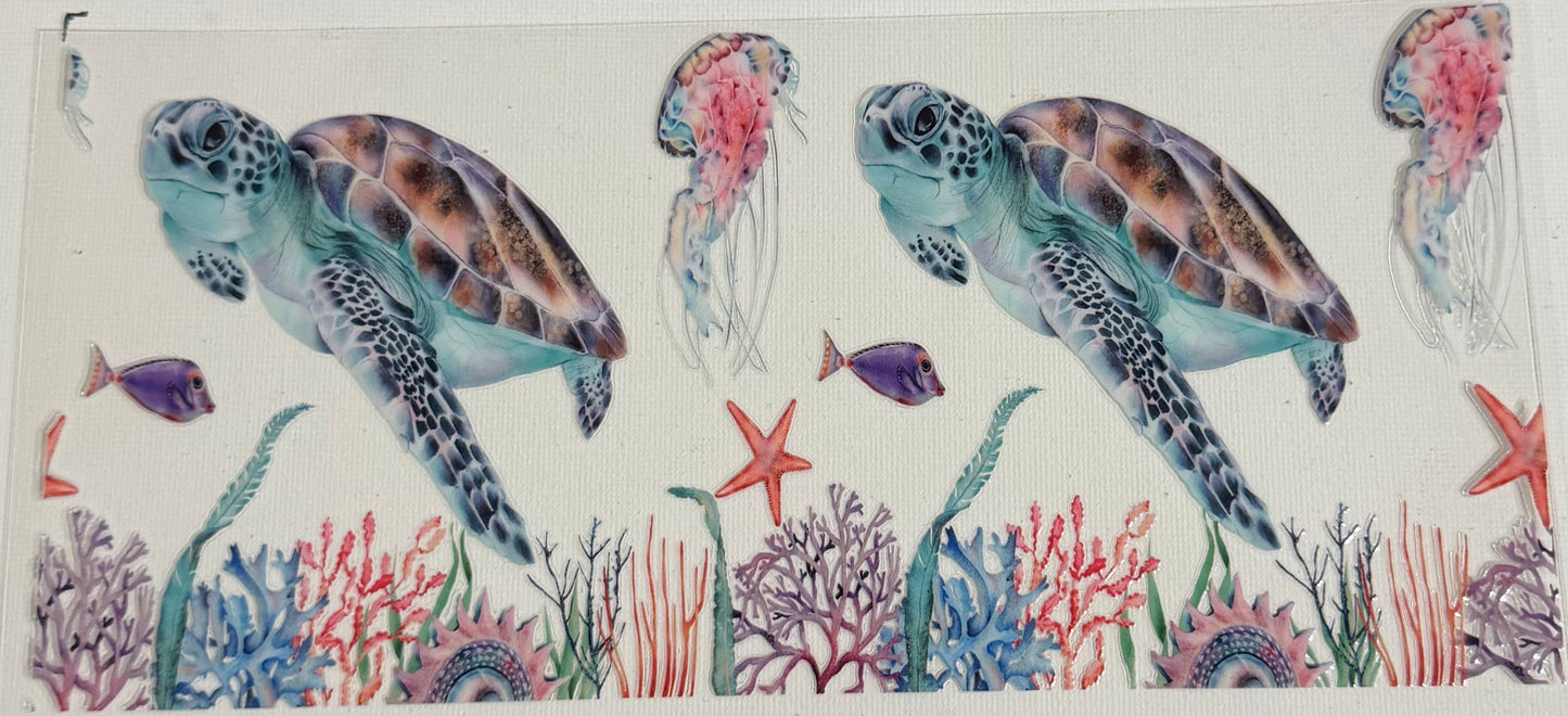 Turtles 0893
