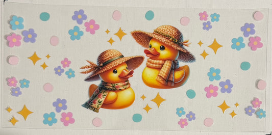Ducks 0951