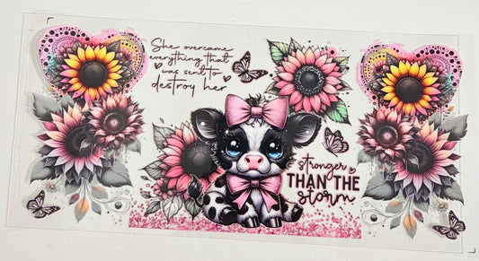 Cow 0664
