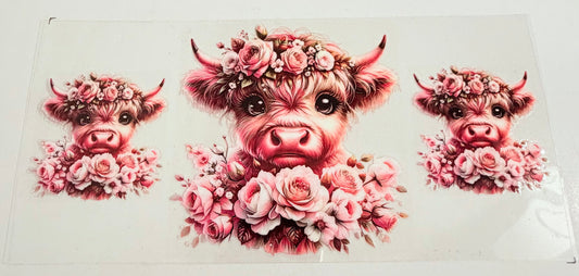 Cow 0636