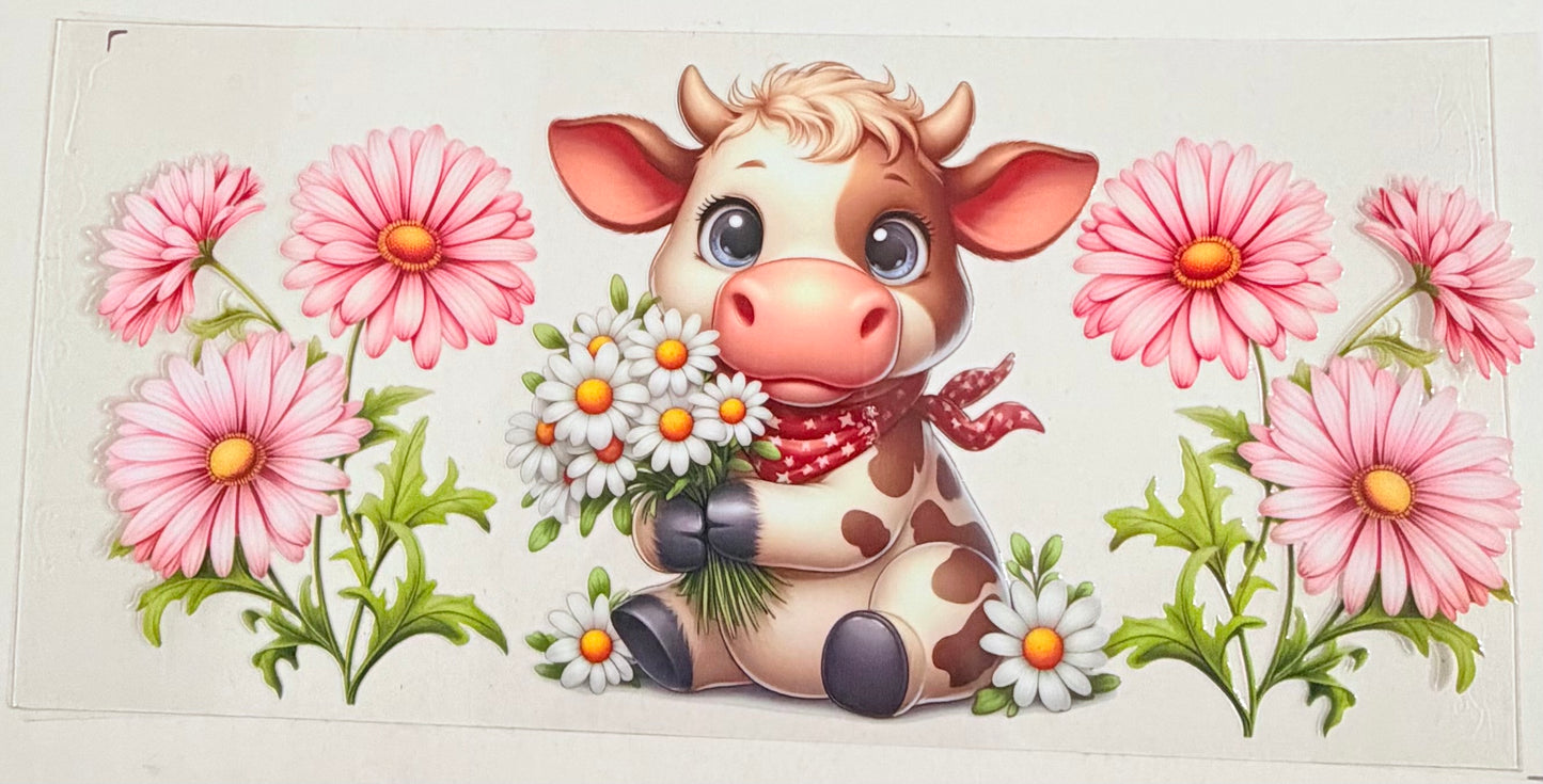 Cow 0660