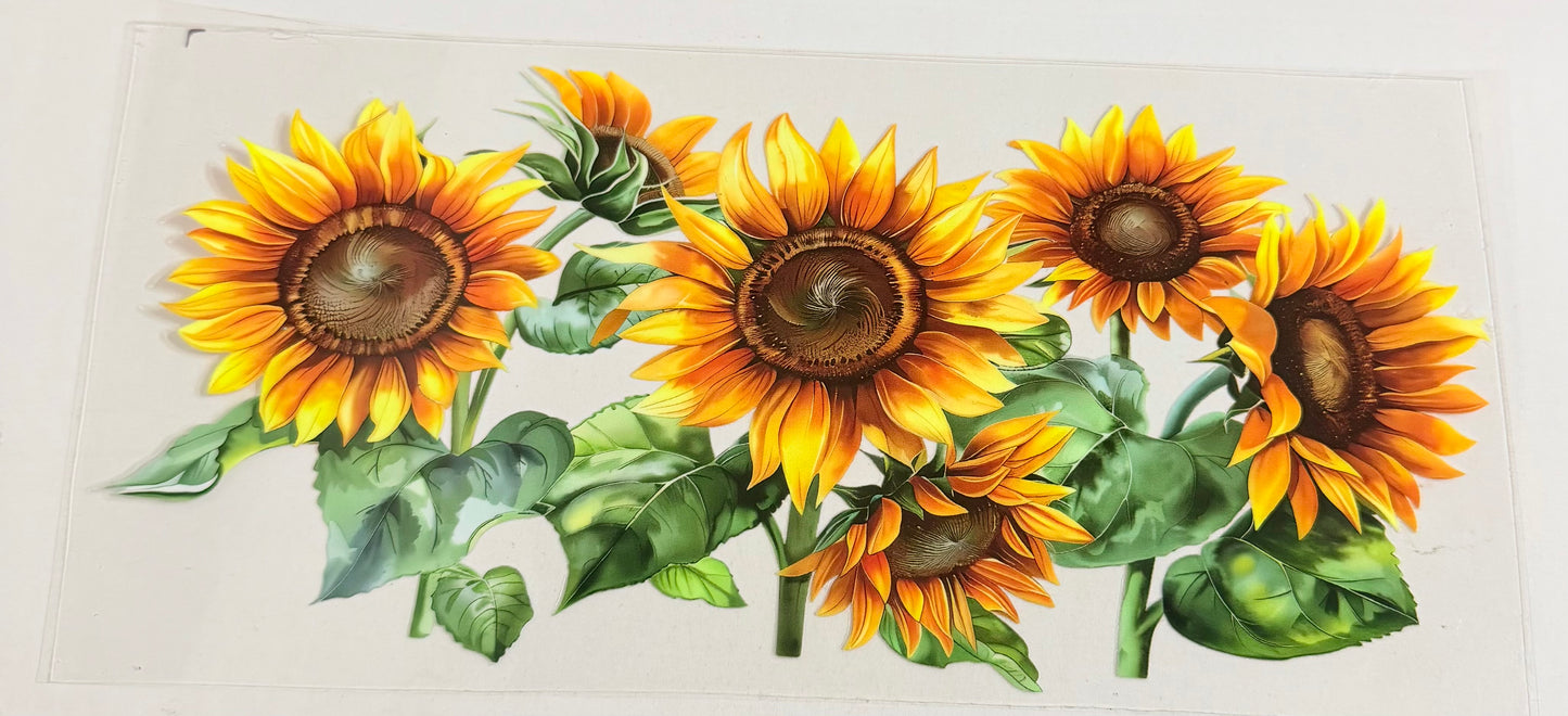 Sunflowers 0601