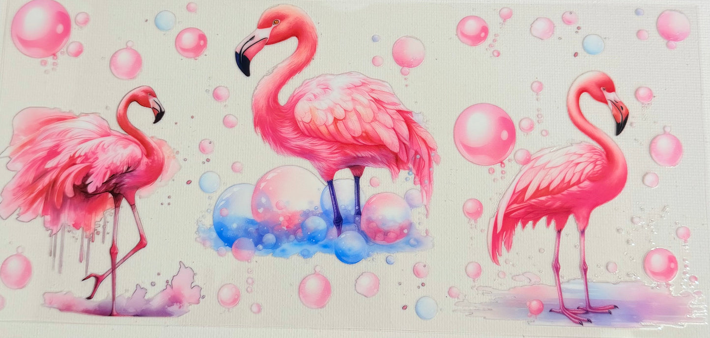 Flamingo 0822