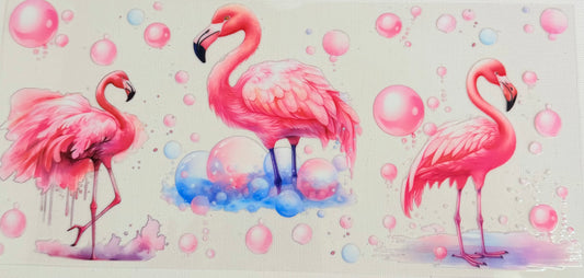 Flamingo 0822